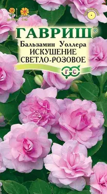 Рассада Бальзамин p6 h20 (6шт) купить с доставкой в МЕГАСТРОЙ Стерлитамак