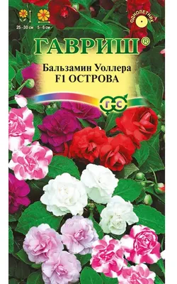 ✓ Семена Бальзамин садовый Праздничный, смесь, 0,1г, Гавриш, Цветочная  коллекция по цене 30 руб. ◈ Большой выбор ◈ Купить по всей России ✓  Интернет-магазин Гавриш ☎ 8-495-902-77-18