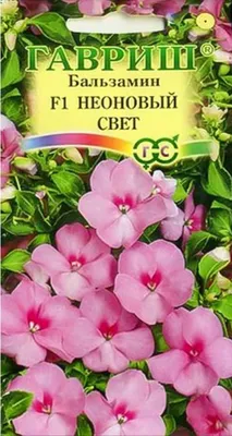 Бальзамин садовый (Impatiens Balsamina)
