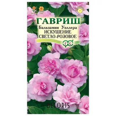 Бальзамин Уоллера купить по цене руб. в Москве в садовом центре Южный