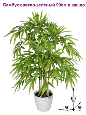 Купить Искусственное растение Бамбук /Искусственные цветы для декора/Декор  для дома по выгодной цене в интернет-магазине OZON.ru (169016299)