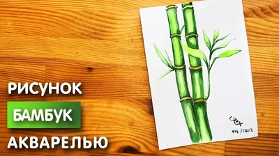 Абстрактная фон- бамбук рисунок зеленого леса бамбуковых стебли на белом  фоне Иллюстрация вектора Иллюстрация вектора - иллюстрации насчитывающей  рамка, зеленый: 169156589