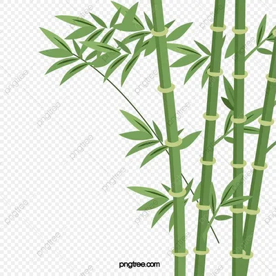 мультфильм бамбуковых листьев бамбука бамбук силуэт фотографии PNG ,  мультяшный клипарт, бамбуковый клипарт, бамбук PNG картинки и пнг PSD  рисунок для бесплатно… | Свадебный силуэт, Мультфильмы, Бамбук