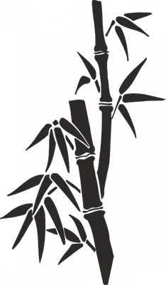 Крупный план рисунка бамбукового растения с генеративными листьями ai |  Премиум Фото