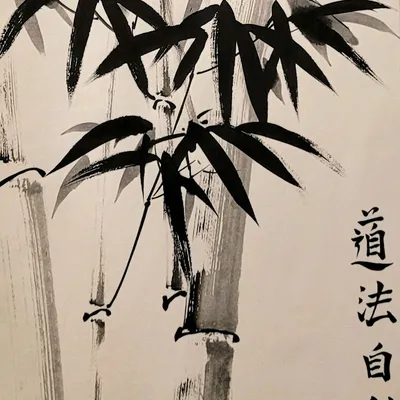 Рисунок черной тушью черный бамбук …» — создано в Шедевруме