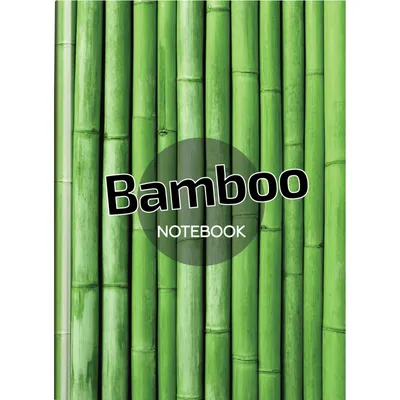Рисунки бамбука для срисовки (25 фото)