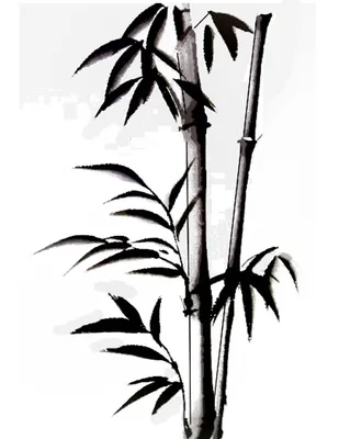 Рисунок бамбукового дерева с листьями и ветвями, генеративный ai | Премиум  Фото