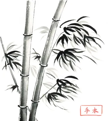 Китайская Живопись Бамбуковый Векторный Рисунок — стоковая векторная  графика и другие изображения на тему Бамбук - Бамбук, Без людей, Бутан -  Полуостров Индостан - iStock