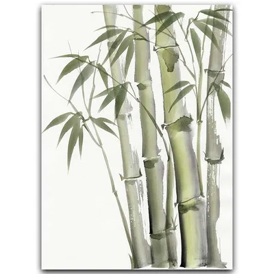 Бамбук эскиз - 60 фото
