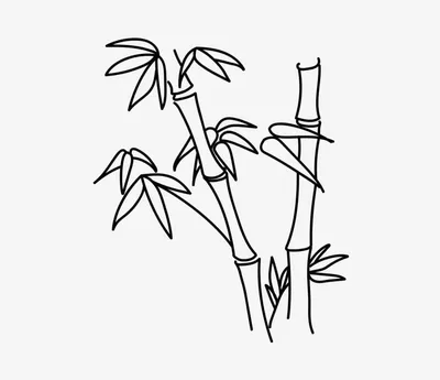 Бамбук, вода, рисунок на рисовой …» — создано в Шедевруме