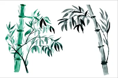 Рисунок бамбукового дерева с листьями и белым фоном, генеративный ai |  Премиум Фото