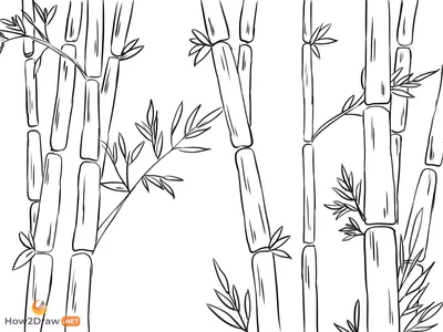 Бамбуковых Листьев, Традиционного Китайского Искусства Каллиграфии На Белом  Фоне. Фотография, картинки, изображения и сток-фотография без роялти. Image  20620617