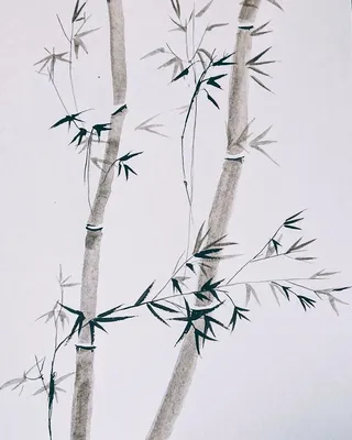бамбук | Рисунок тушью, Артбуки, Рисунки