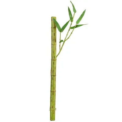 Искусственный бамбук (id 108094486), купить в Казахстане, цена на Satu.kz