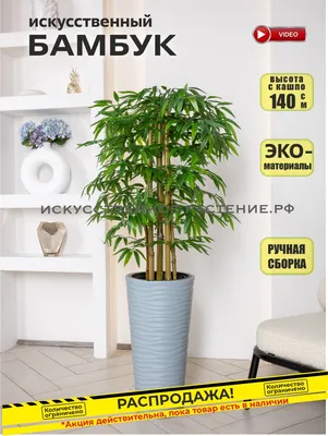 Бамбуковые канавки высокого качества | AliExpress