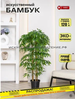 Купить Искусственное растение бамбук, декоративное дерево, цветок напольный  высокий для декора интерьера, в бежевом кашпо, 140 см по выгодной цене в  интернет-магазине OZON.ru (724889559)