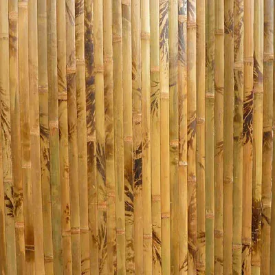 Бамбуковые обои: виды, характеристики, фото в интерьере, цвета, можно ли  мыть обои для стен, как клеить + примеры современного дизайна