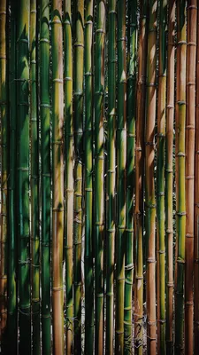 3D бамбуковые обои, обои для ресторана, гостиницы, крыльца, гостиной,  фоновые Настенные обои в классическом китайском стиле | AliExpress