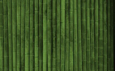 Фотообои Бамбук на воде купить на стену • Эко Обои