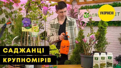 Светильник уличный ЭРА ERASF22-35 на солнечной батарее садовый Факел бамбук