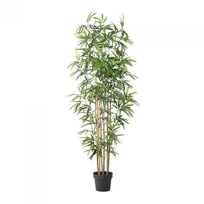 Бамбук искусственный (без горшка) H175 см (арт. 8EE101150) - купить за 36  504 ₽ в интернет-магазине Гарден Гров