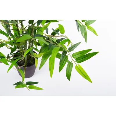 IKEA KLYNNON (205.232.39)