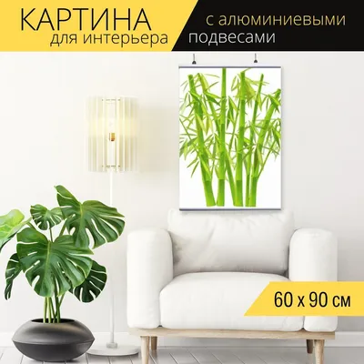 Бамбук в интерьере