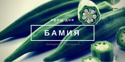 Семена бамия АгроСидсТрейд Бомбей T02912-AGS 1 уп. - отзывы покупателей на  Мегамаркет