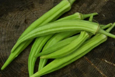 Бамия - Малораспространенные культуры - Овощные культуры - GreenInfo.ru