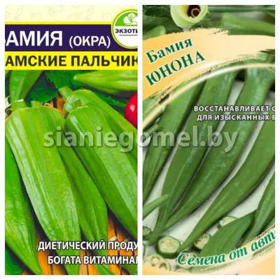 Окра яхни (бамия с томатами) | My Secret Recipes Food Blog