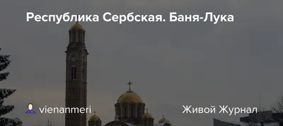 Тюльпан Дарвинов гибрид Баня-Лука (10 шт.) из каталога Тюльпаны – купить с  доставкой по Москве и России в Onlinesemena