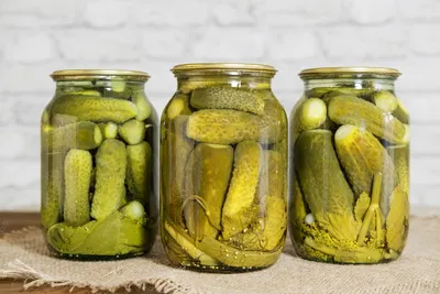 Огурцы на зиму: вкусные рецепты заготовок в банках и способы приготовления