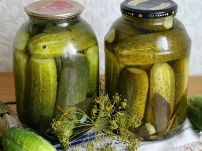 маринованные огурцы приготовленные в банках на столе, картинки соленых  огурцов фон картинки и Фото для бесплатной загрузки
