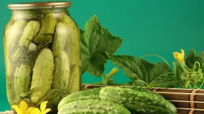 6 соток Огурцы маринованные \"Вкусные\" 950 г - купить с доставкой по  выгодным ценам в интернет-магазине OZON (138884314)