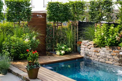 До и после: Бассейн в крошечном саду (1.7 сотки) | Houzz Россия