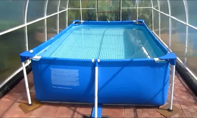 Бассейн в теплице из поликарбоната - YouTube