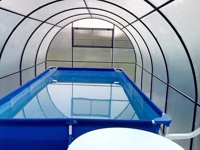 Павильон для бассейна ширина 5 метров из поликарбоната