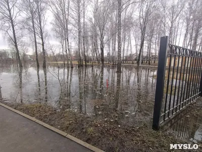 По поручению Алексея Дюмина благоустраивается Баташевский сад