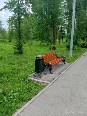 В Туле из-за разлива реки закрыт проход в Баташевский сад | ОБЩЕСТВО | АиФ  Тула