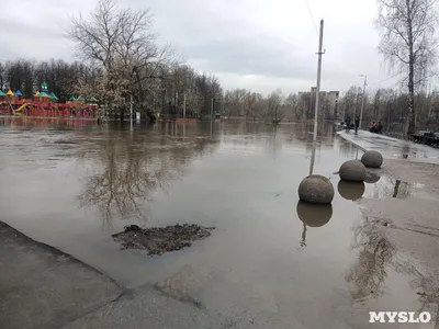 Из Баташевского сада в Туле начала уходить вода — ТСН 24