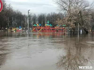 Обещали одно, получили другое: дольщики ЖК «Баташевский сад» в Туле подали  на застройщика в суд - Новости Тулы и области - 1tulatv