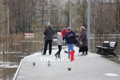 Купить Квартиру в жилом комплексе Баташёвский Сад (Тула) - 53 объявления о  Продаже Квартир Недорого: Планировки, Цены и Фото – Домклик