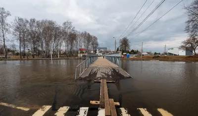 Баташевский сад в Туле затопило: фоторепортаж | 27.03.2023 | Тула -  БезФормата