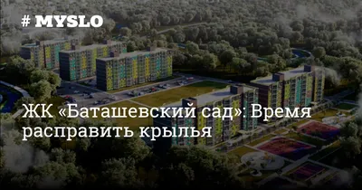 Из Баташевского сада в Туле начала уходить вода — ТСН 24