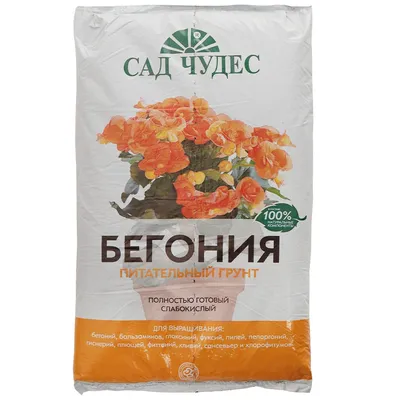 Бегония готова к спору | Статьи журнала \"Сады и огороды Приморья\"
