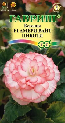 Бегония вечноцветущая Бада Бум Смесь Begonia semperflorens Bada Boom Mix -  купить семена цветов с доставкой по Украине в магазине Добродар