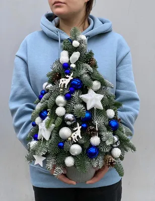 елка украшена красными звездами и шарами, 3d елка и звезды на белом фоне,  Hd фотография фото, рождество фон картинки и Фото для бесплатной загрузки