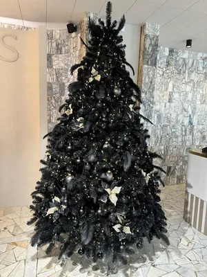 Искусственная елка Александрийская, белая, хвоя ЛИТАЯ 100%, 180 см, Max  CHRISTMAS ЕАБЛ18 - 23'750 руб - купить в интернет магазине \"Морозко\",  узнать характеристики, описание, цену, отзывы
