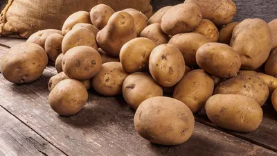 Купить туношна картофель Кожино оптом и в розницу по низкой цене