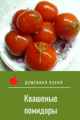 Домашние Консервированные Помидоры Белой Тарелке Изолированный Белом Фоне  стоковое фото ©Jim_Filim 618353932